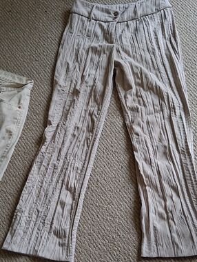 Animale Crinkled Wide-Leg Pants in Light Beige 40